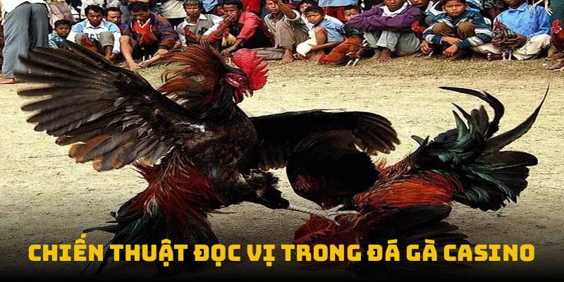 Chiến thuật đọc vị trong đá gà casino