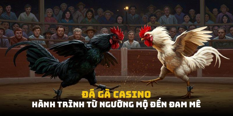 đá gà casino