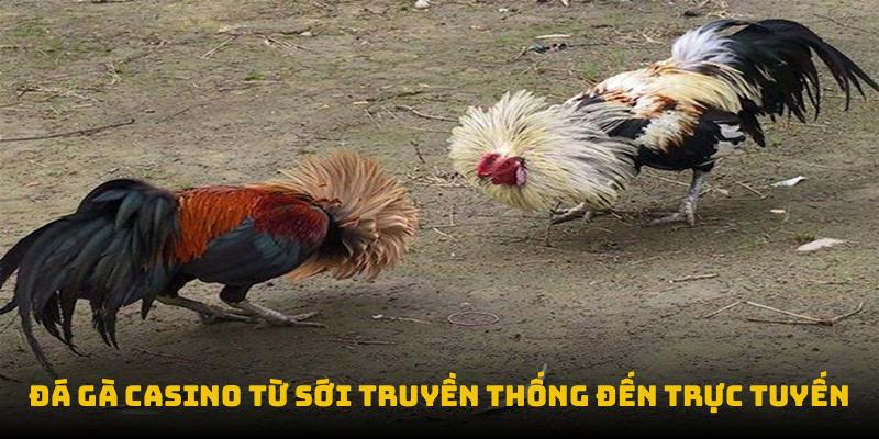 Đá gà casino từ sới truyền thống đến trực tuyến