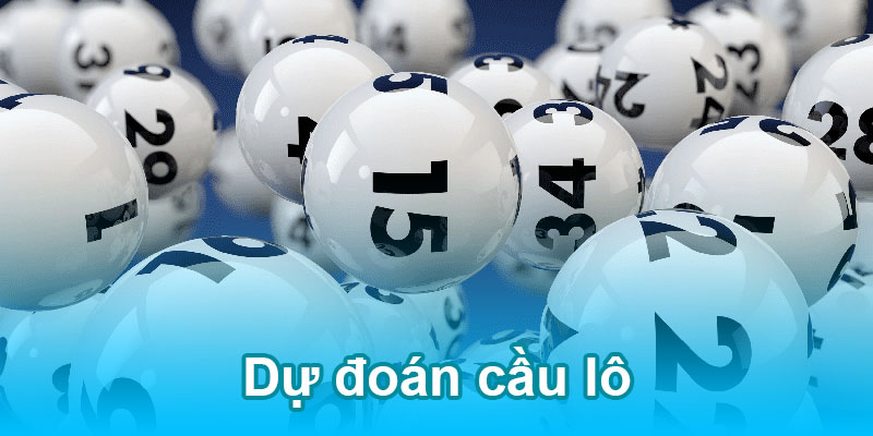 Dự đoán cầu lô