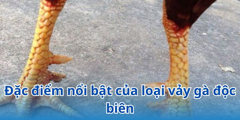 Những đặc điểm nổi bật về vảy độc biên mà người chơi cần biết
