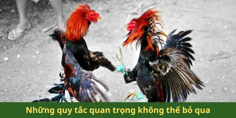 Những quy tắc quan trọng không thể bỏ qua