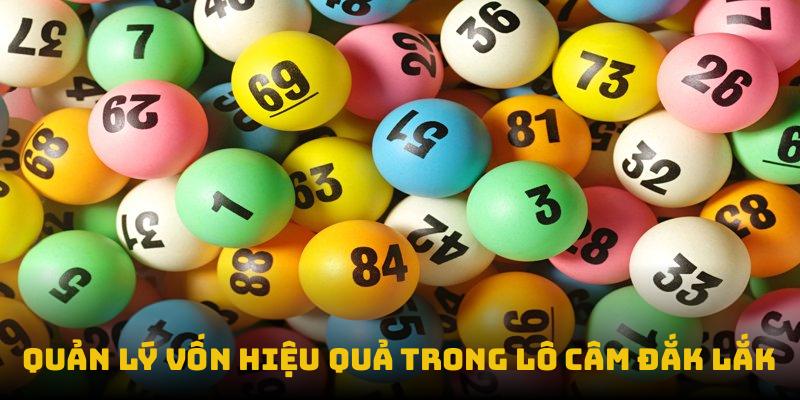Quản lý vốn hiệu quả trong lô câm Đắk Lắk